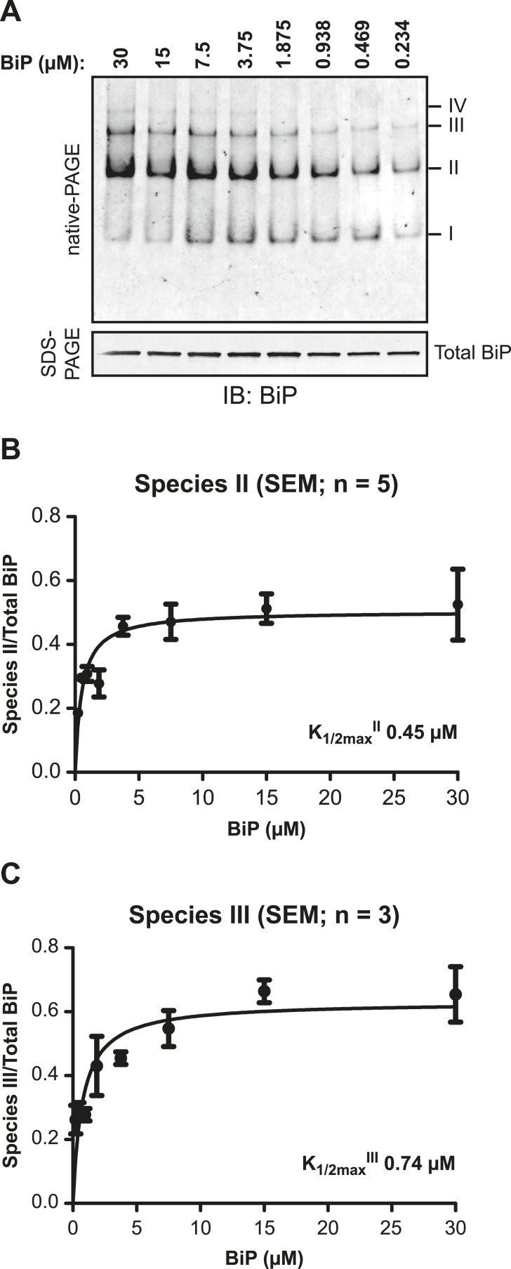 Figure 4—figure supplement 1.