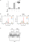 Figure 2—figure supplement 2.
