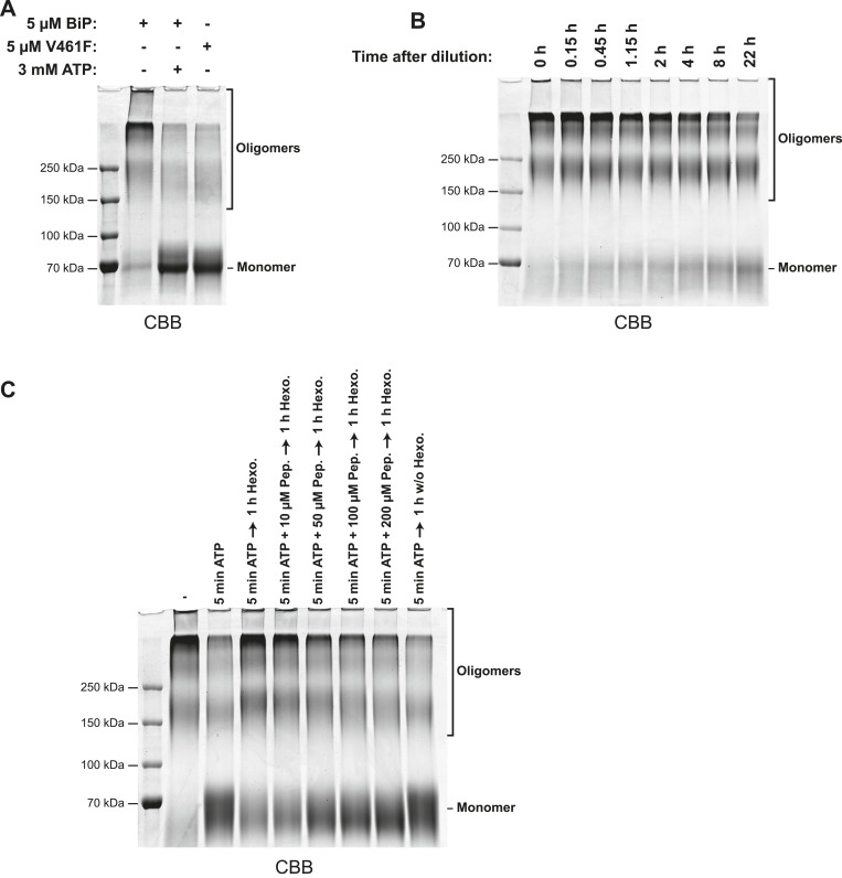 Figure 2—figure supplement 3.