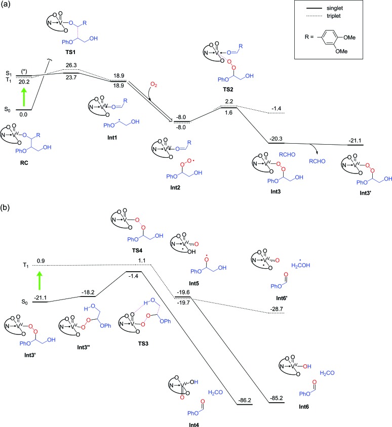 Fig. 8