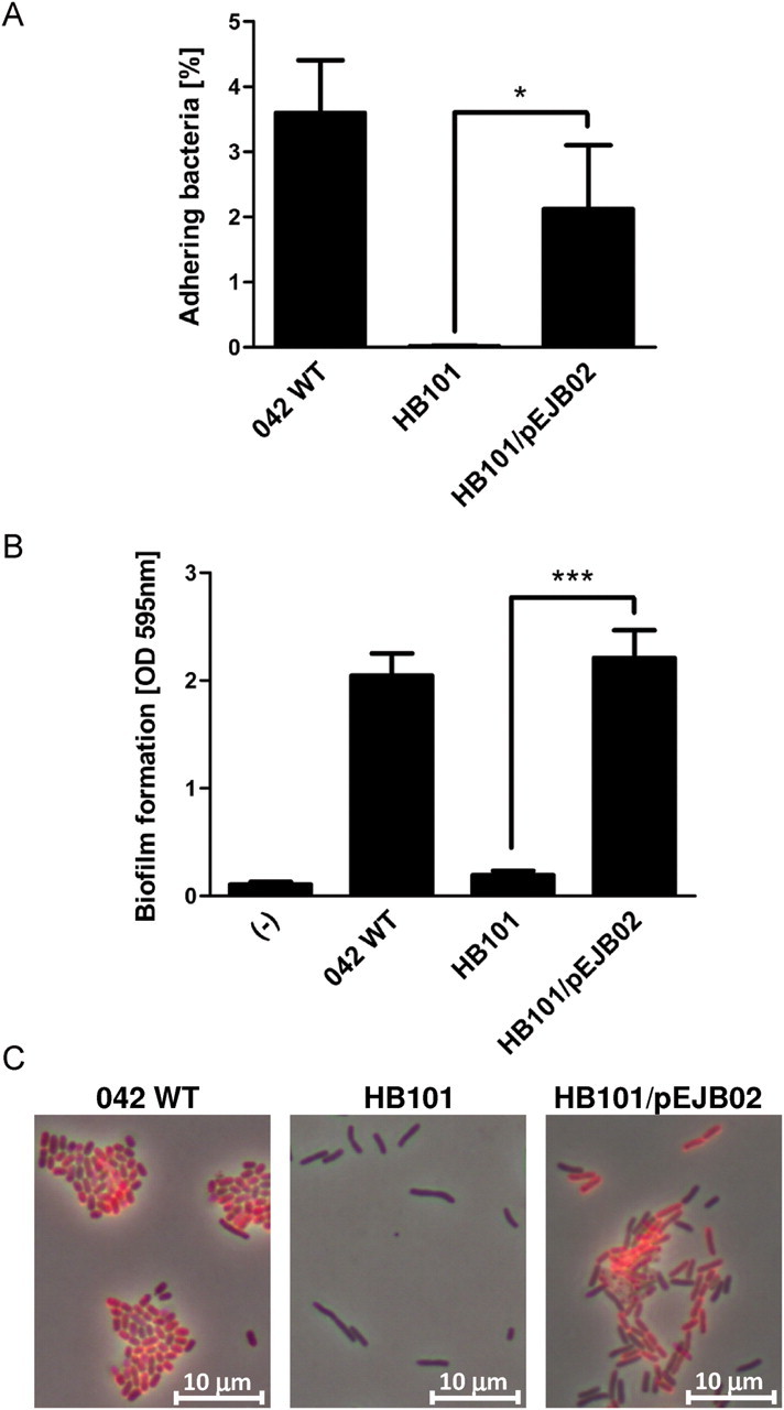 Figure 3.