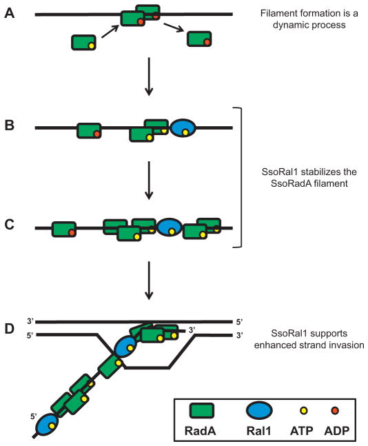 Fig. 8