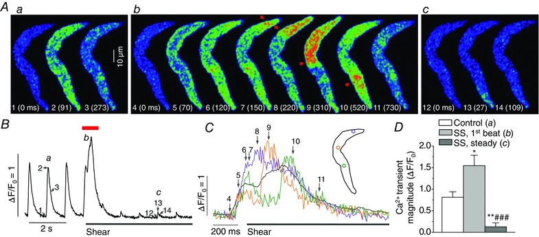 Figure 13