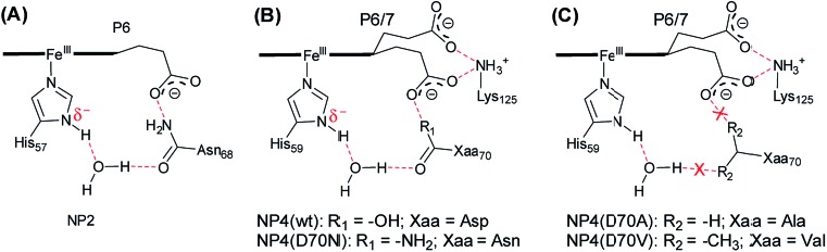 Scheme 2