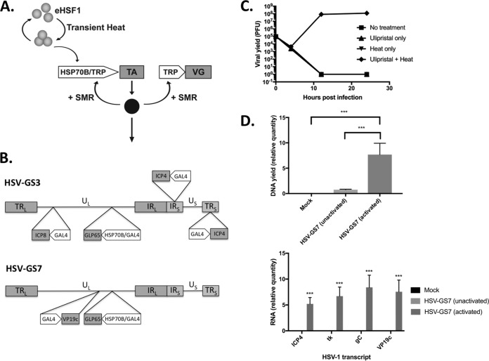 FIG 1