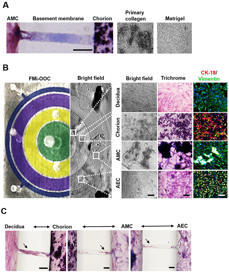 Figure 3: