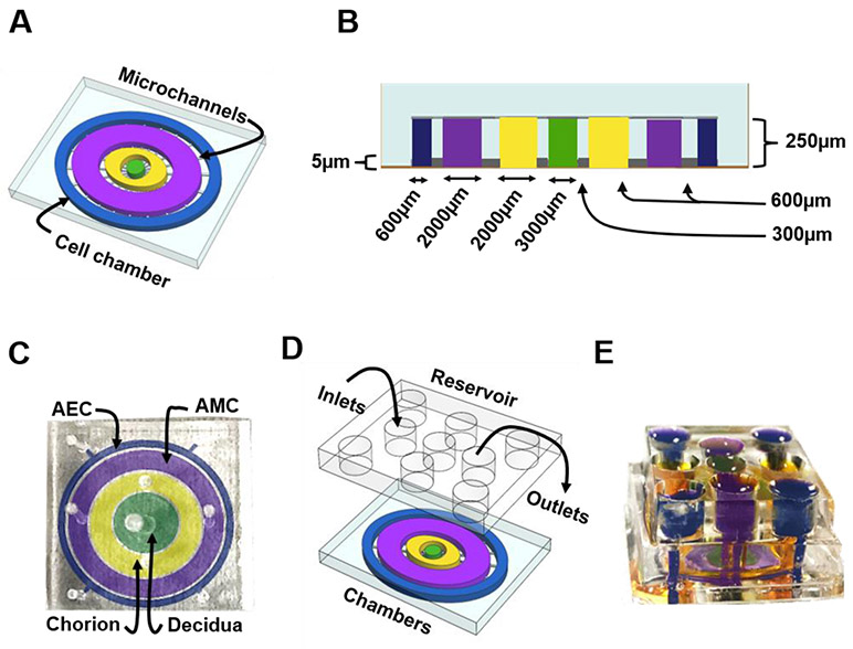 Figure 2: