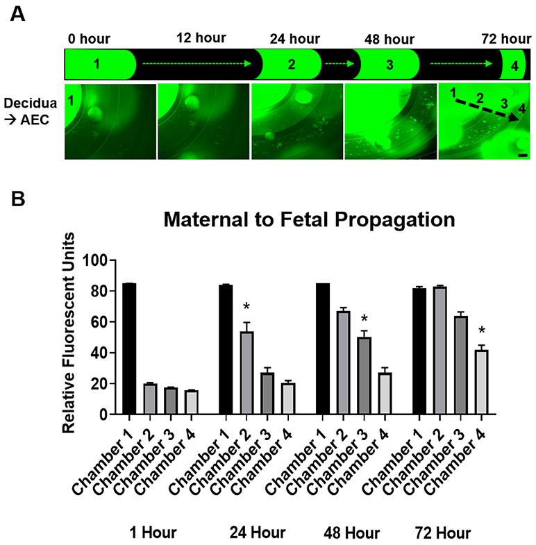 Figure 4: