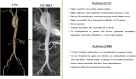Graphical Abstract