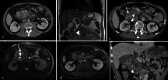 Fig. 9