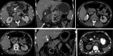 Fig. 10