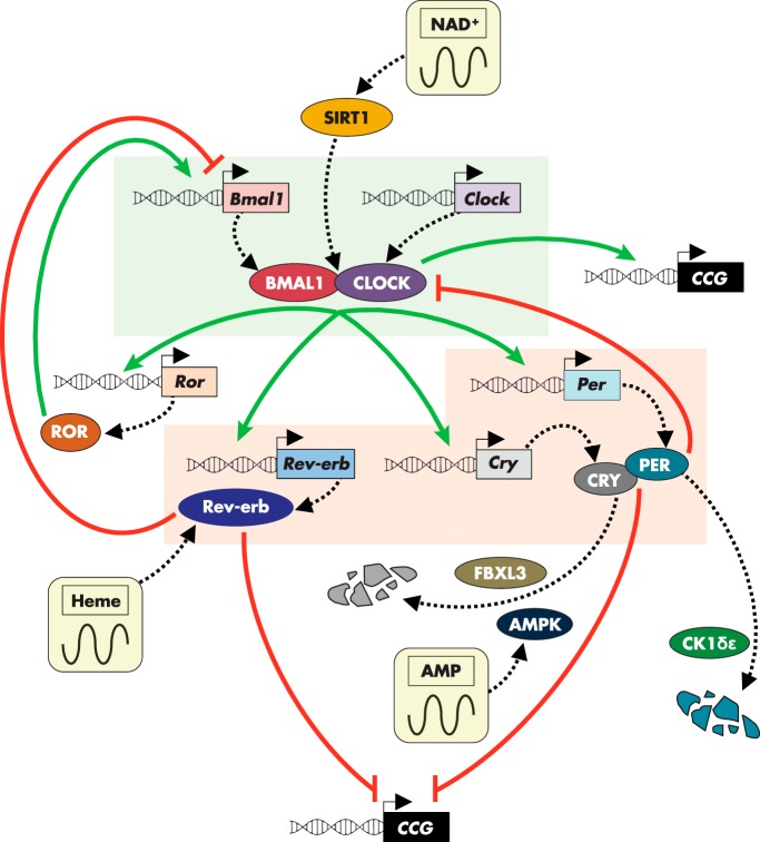 Figure 1.