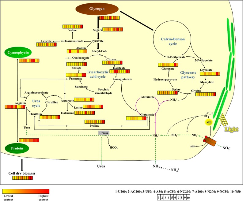 Figure 7.