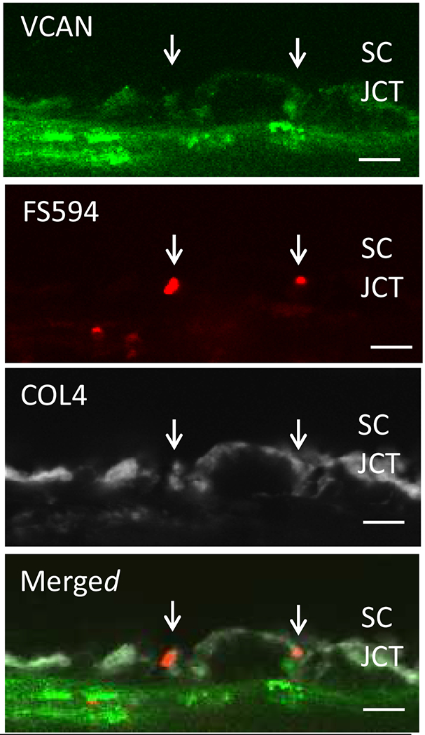 Figure 23.