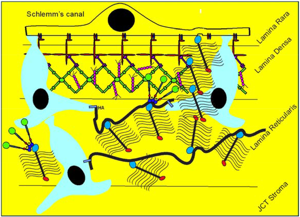 Figure 20.