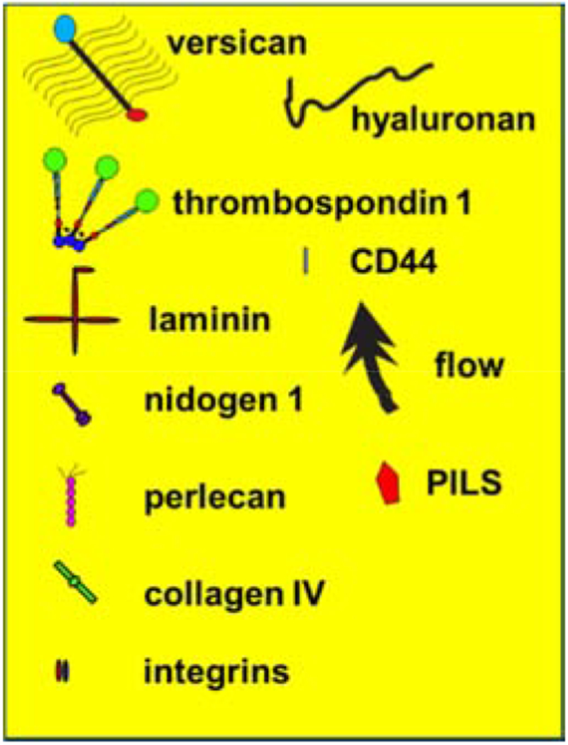 Figure 17.