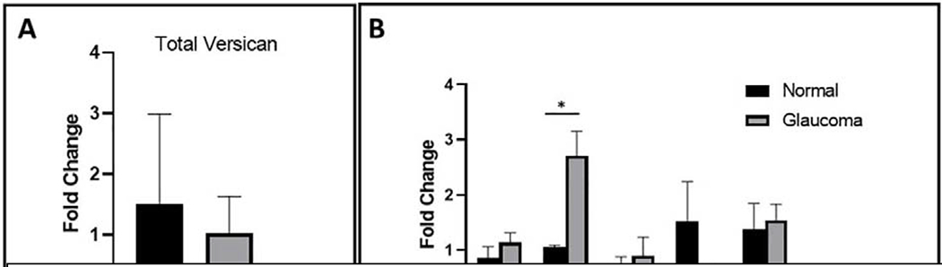 Fig. 11.