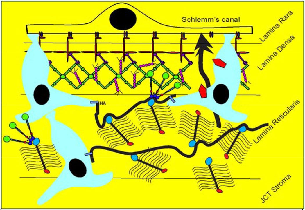 Figure 19.