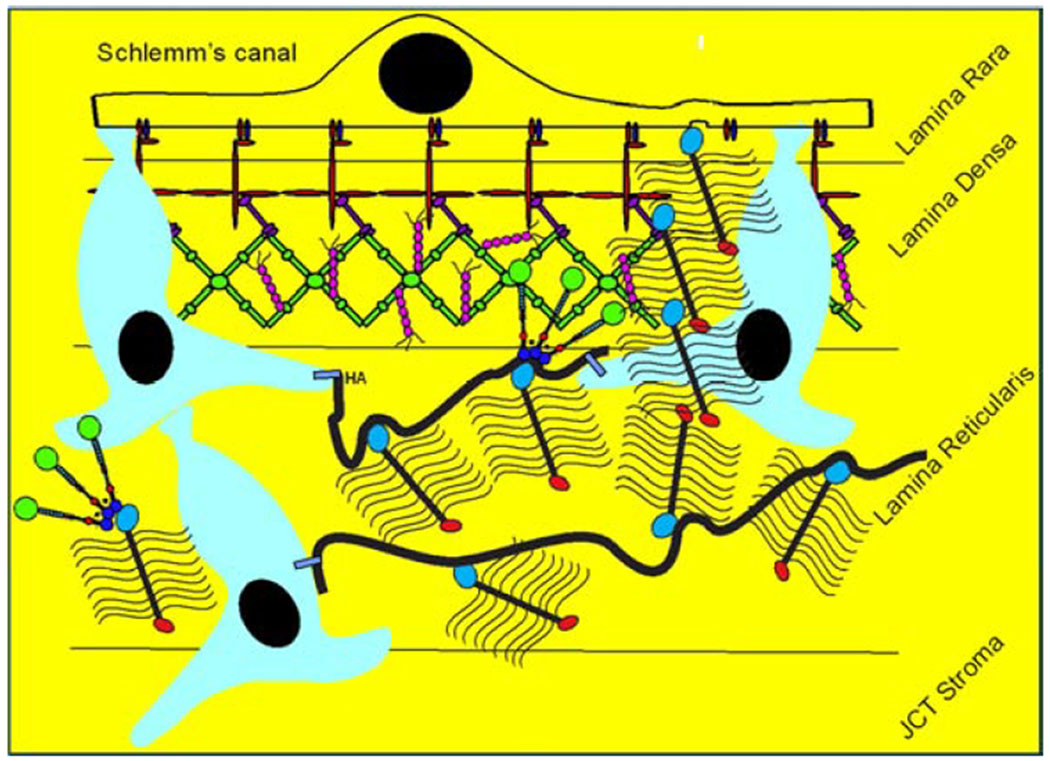 Figure 21.