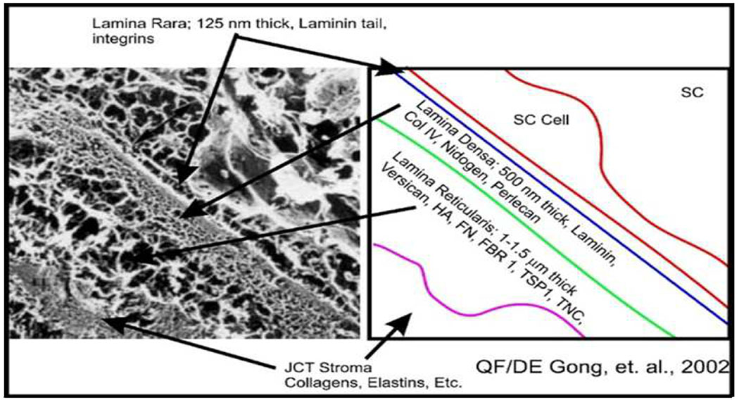 Figure 15.