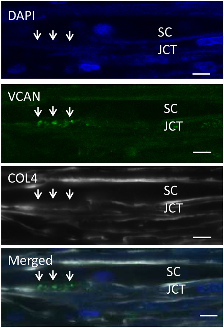 Figure 24.