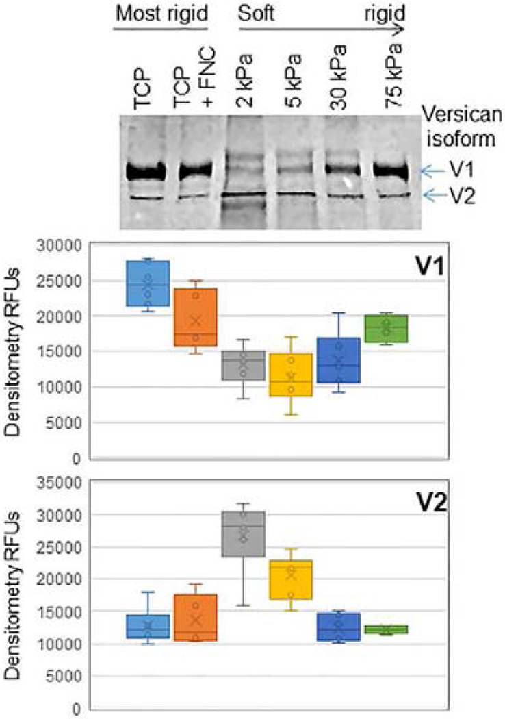 Figure 12.