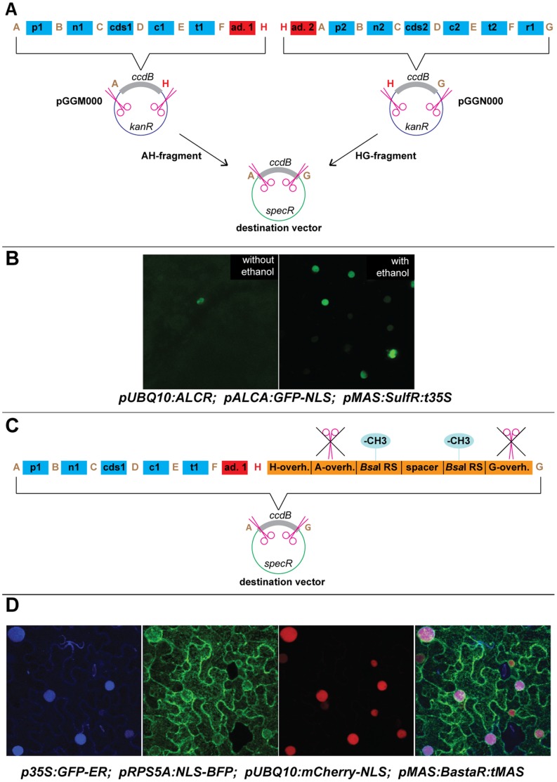 Figure 4