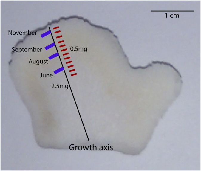 Fig. S3.