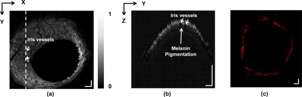 Fig. 4