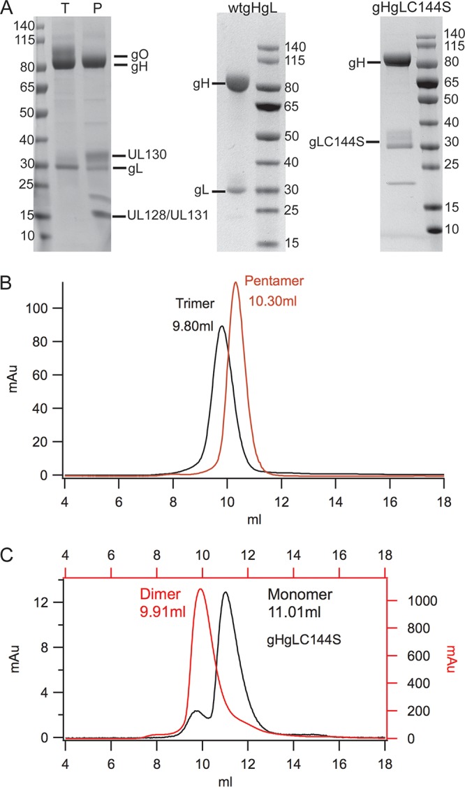 FIG 1