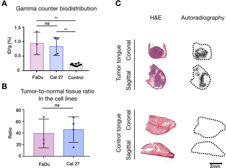 Fig 3.