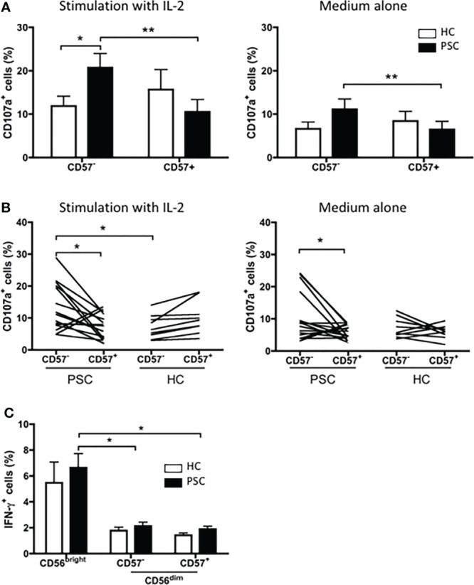 Figure 6