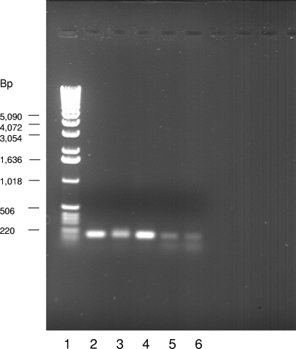 FIG. 5.