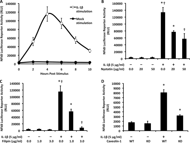 FIGURE 1.