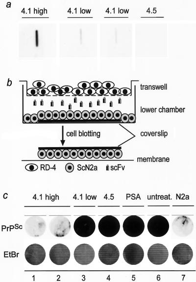 FIG. 4.