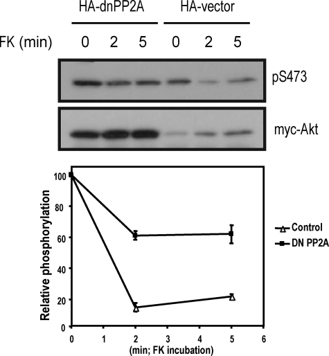 FIGURE 9.