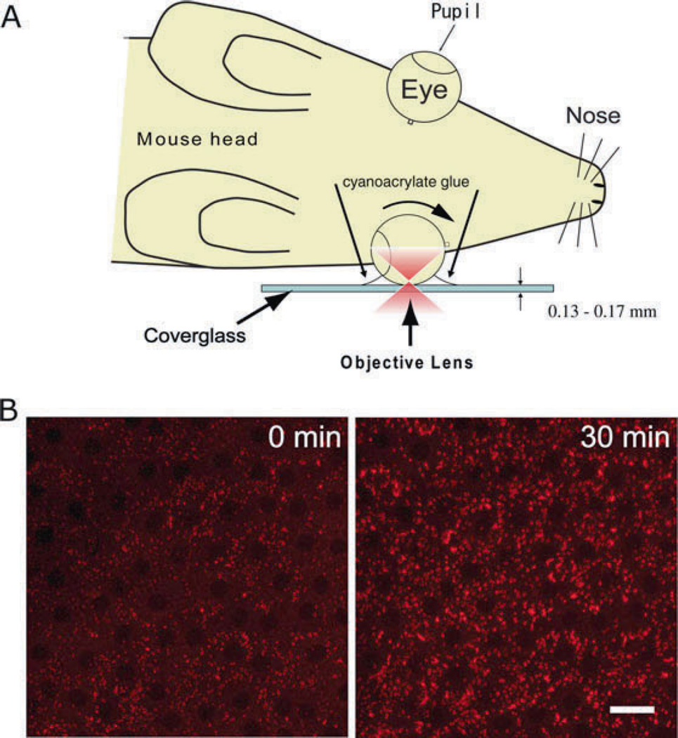 Fig. 14.3