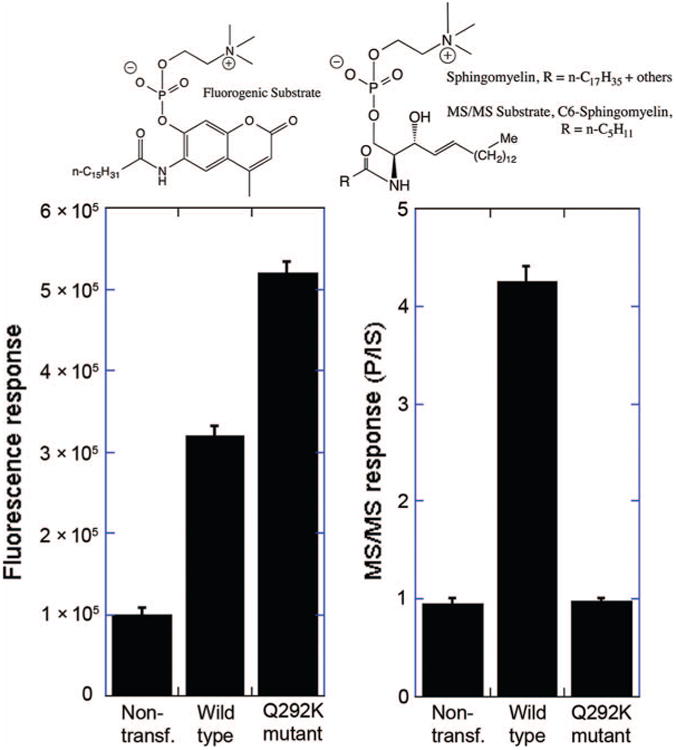 Fig.1