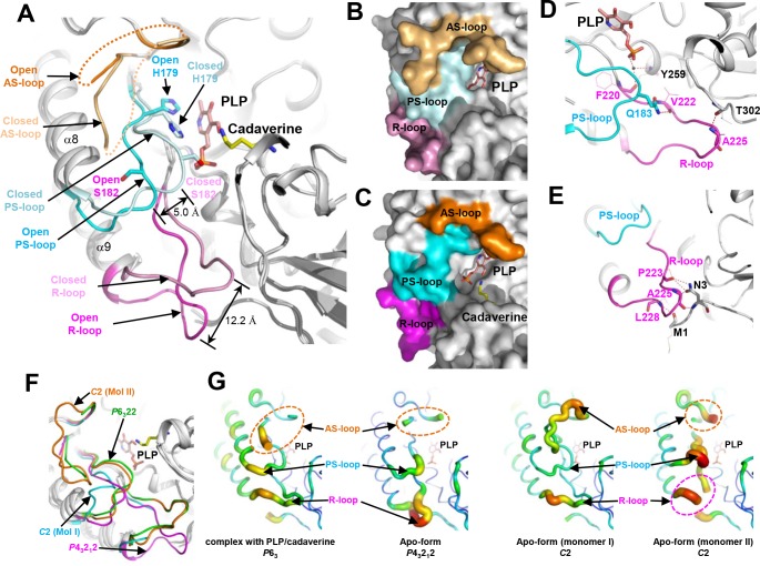 Fig 3