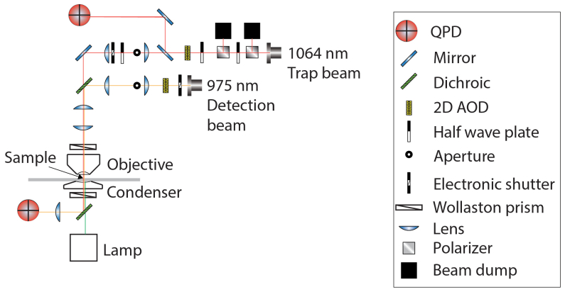 Fig. 2