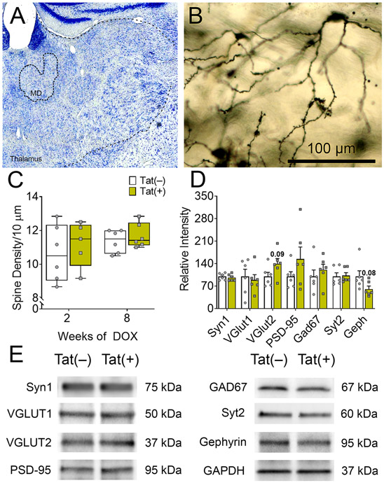 Fig. 6.