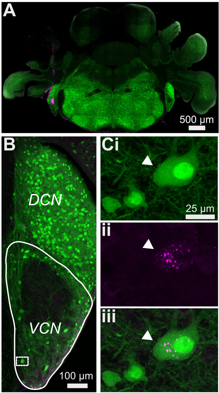 Figure 9.