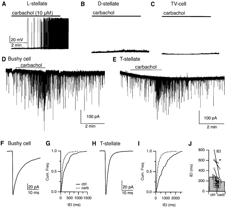 Figure 10.