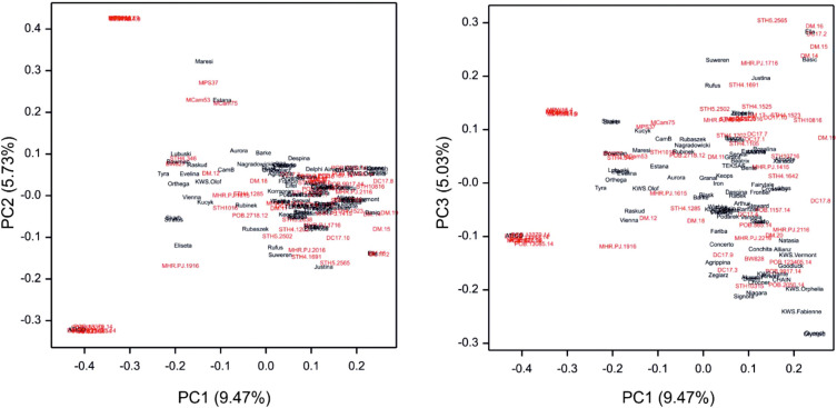 Figure 4