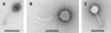 FIG. 1.