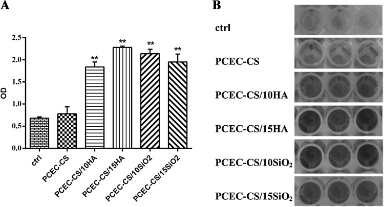 Fig. 9