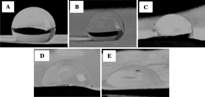 Fig. 5