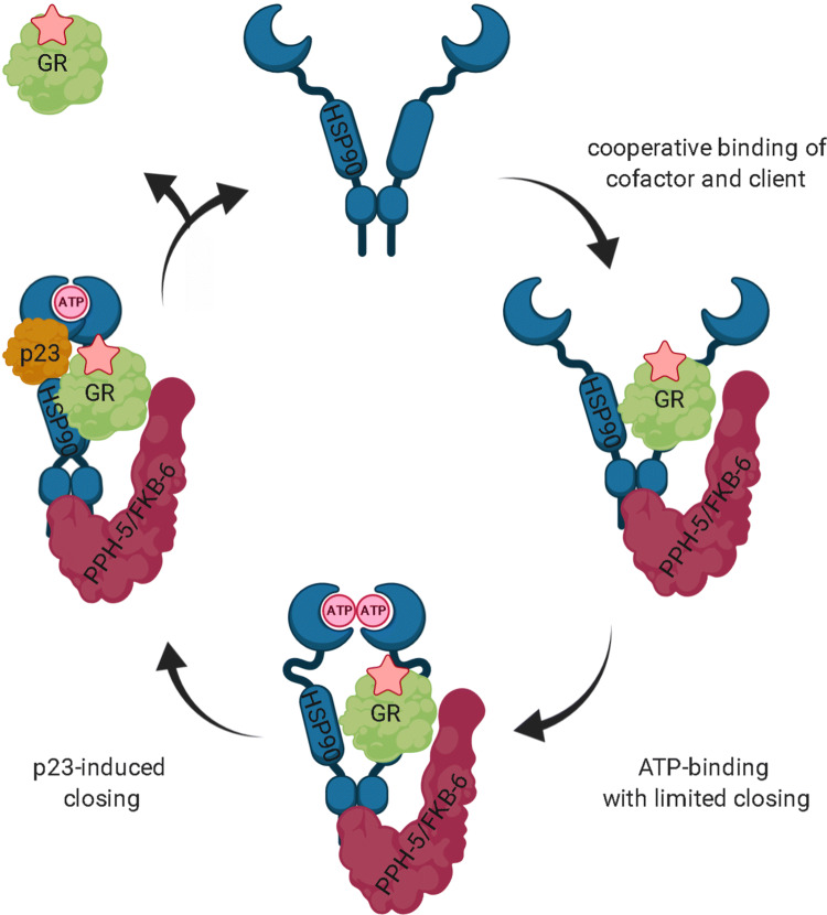 Figure 6