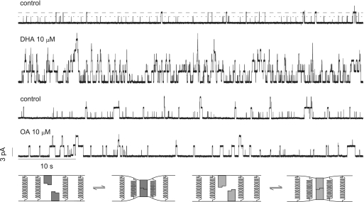 Fig. 1.