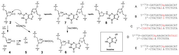 Scheme 3